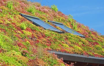 Eastcourt living roof systems