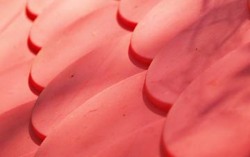 Eastcourt plastic roof costs