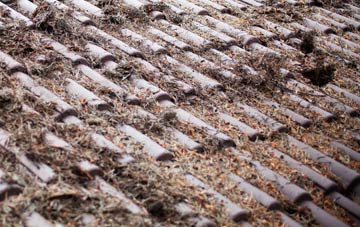 Eastcourt roof cleaning companies