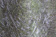 Eastcourt fibreglass roof work